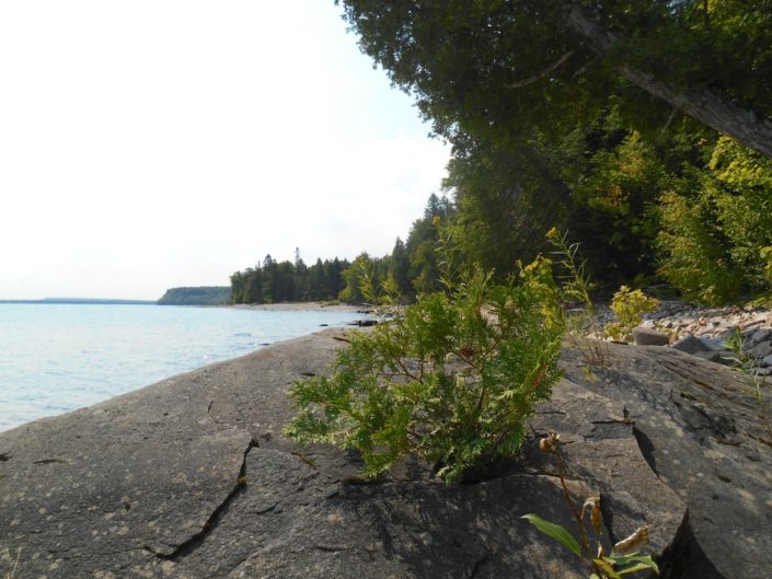 Laughing Whitefish Point U.P. Waterfront
