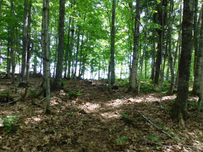 Laughing Whitefish Point U.P. Waterfront