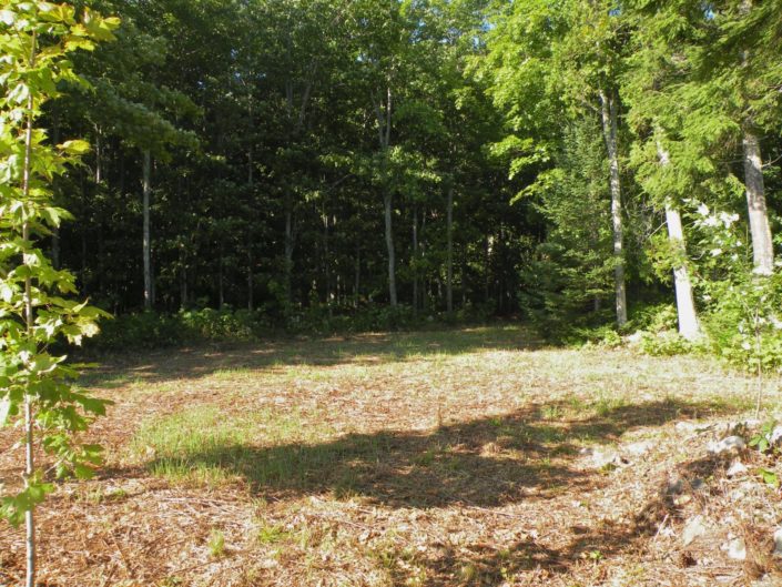 Laughing Whitefish Point (7 parcels) U.P. Waterfront